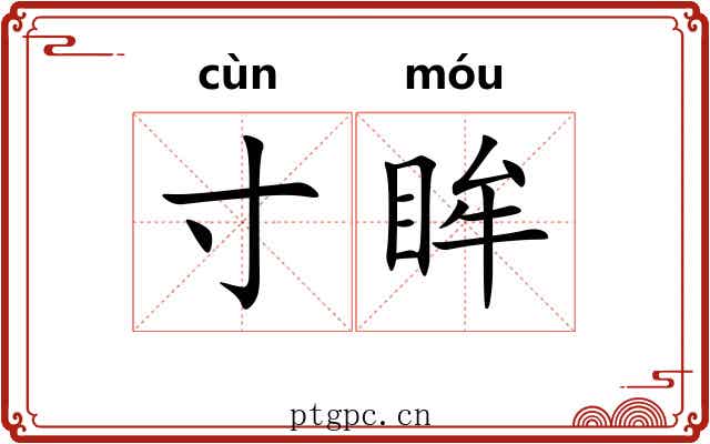寸眸