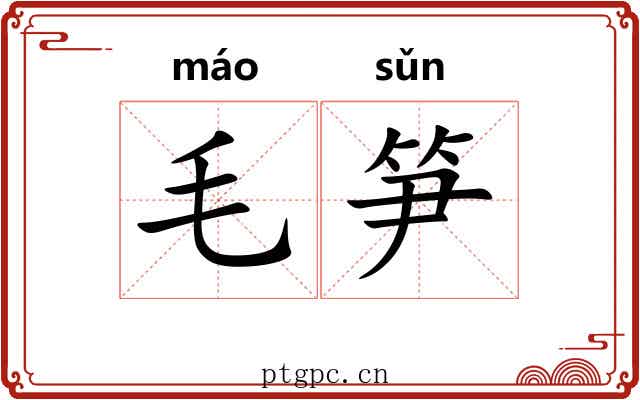 毛笋