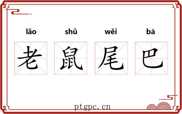 老鼠尾巴 老鼠尾巴