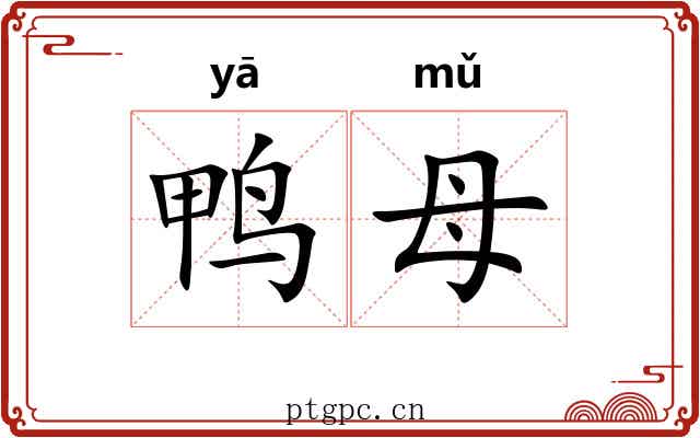 鸭母