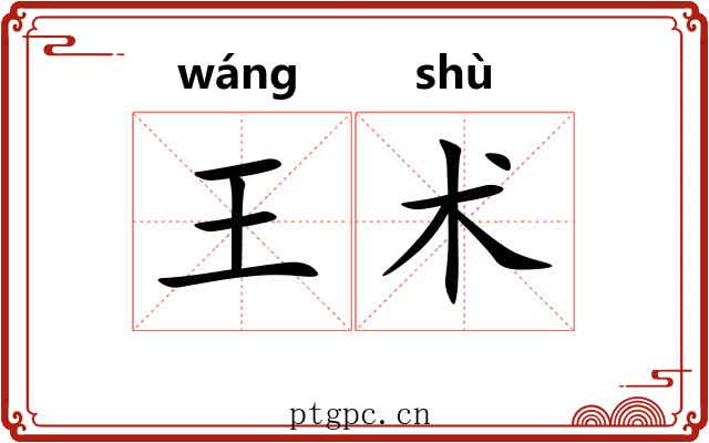 王术 王术