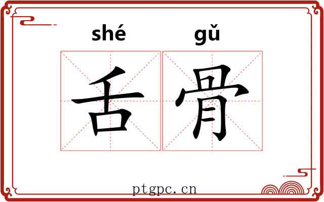 舌骨 舌骨