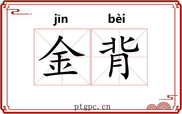 金背