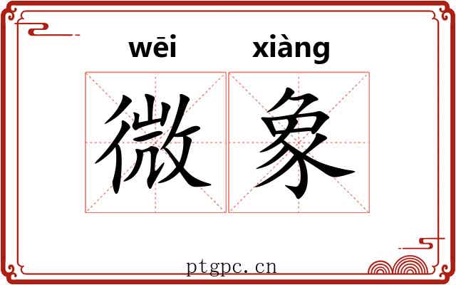 微象