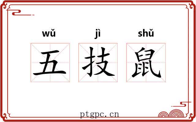 五技鼠 五技鼠
