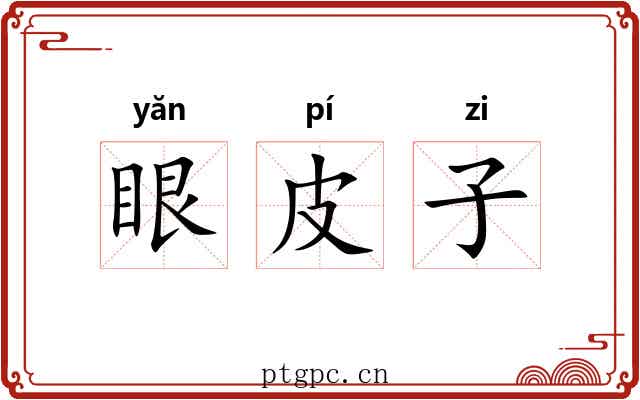 眼皮子