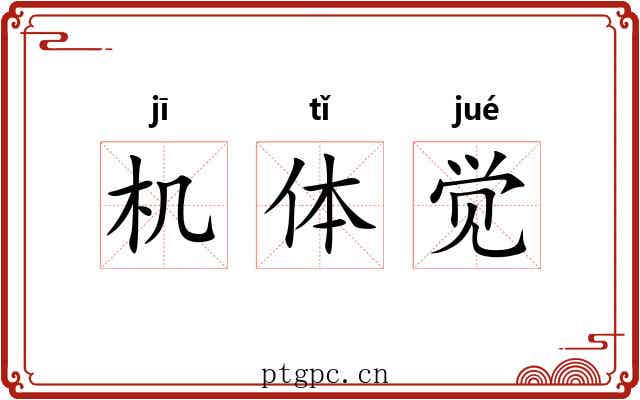 机体觉