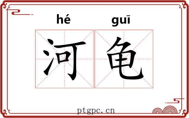 河龟 河龟