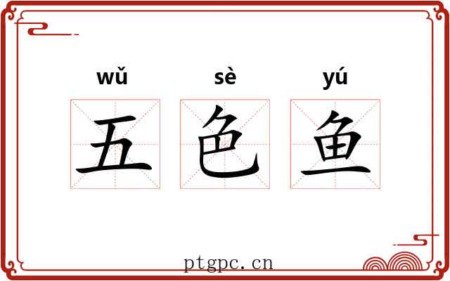 五色鱼
