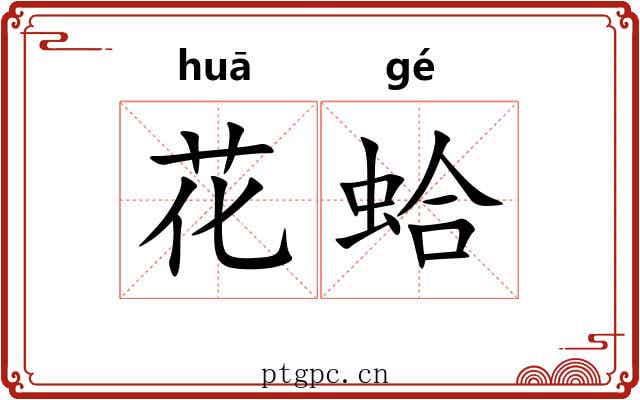 花蛤 花蛤