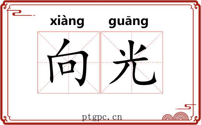 向光