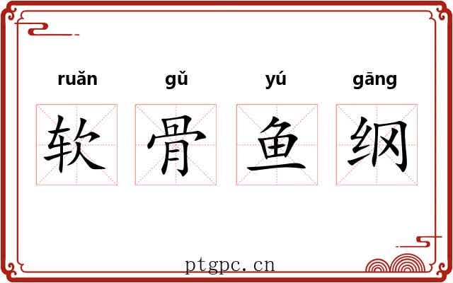 软骨鱼纲