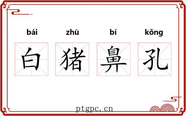 白猪鼻孔 白猪鼻孔