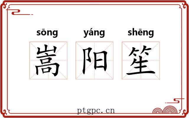 嵩阳笙