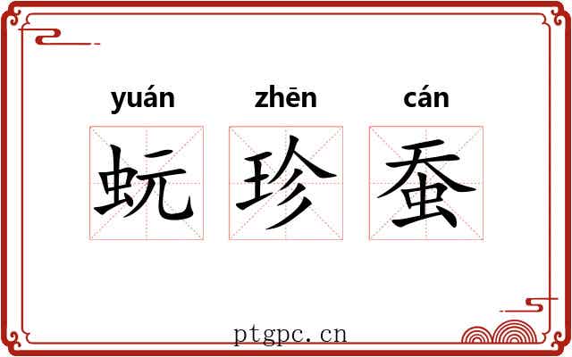 蚖珍蚕