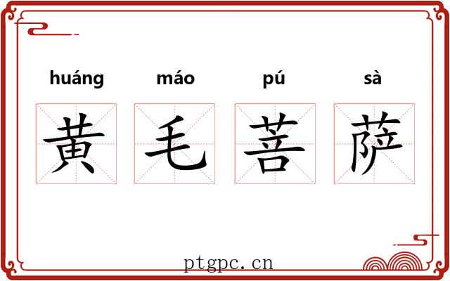 黄毛菩萨