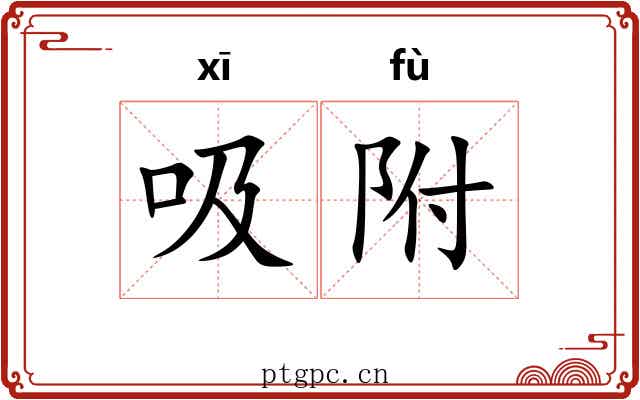 吸附 吸附
