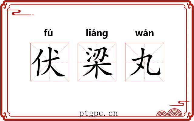 伏梁丸