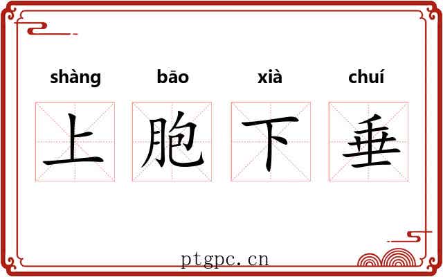 上胞下垂