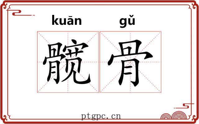 髋骨 髋骨