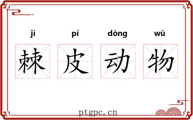 棘皮动物