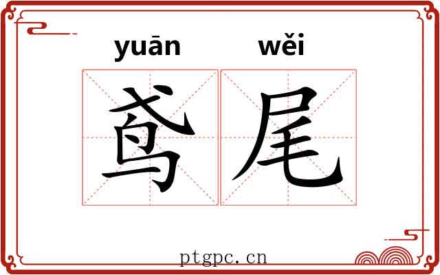 鸢尾