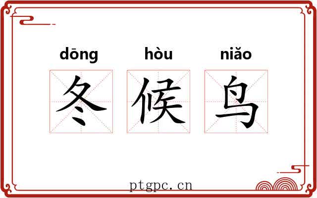 冬候鸟