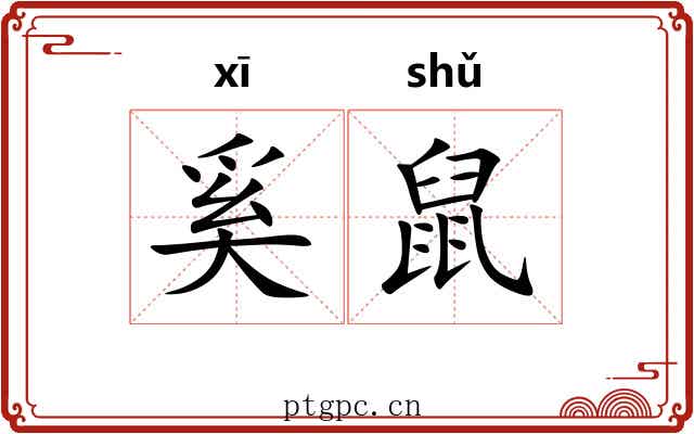 奚鼠