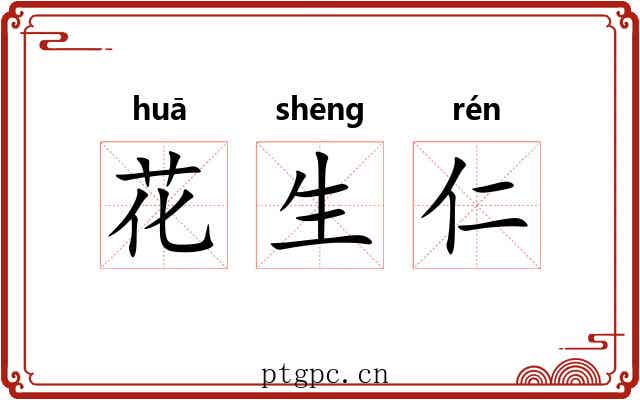花生仁 花生仁