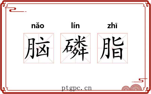 脑磷脂