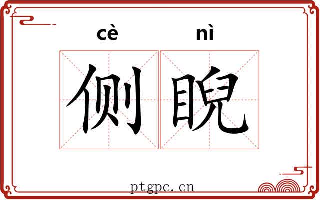 侧睨