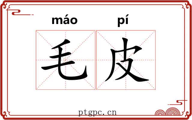 毛皮 毛皮
