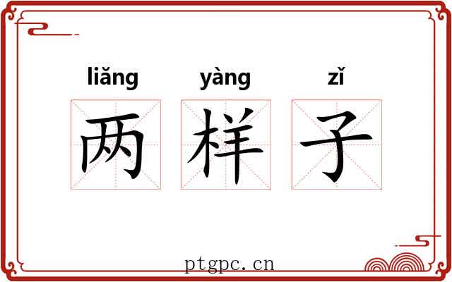 两样子
