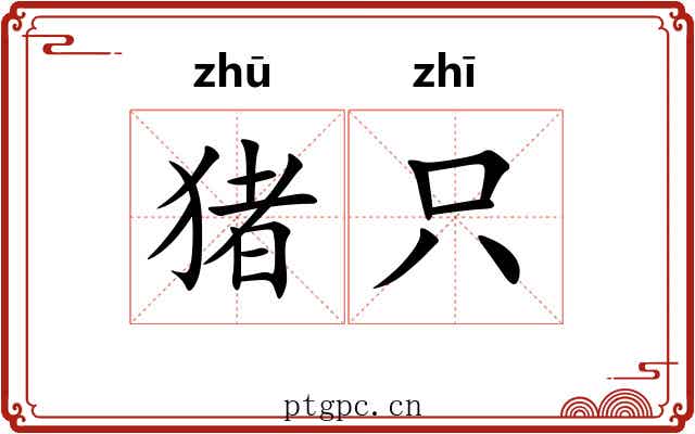 猪只