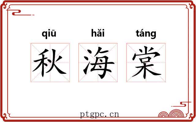 秋海棠