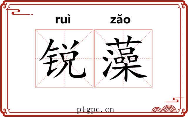 锐藻