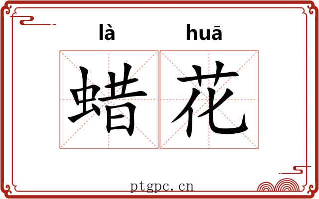 蜡花