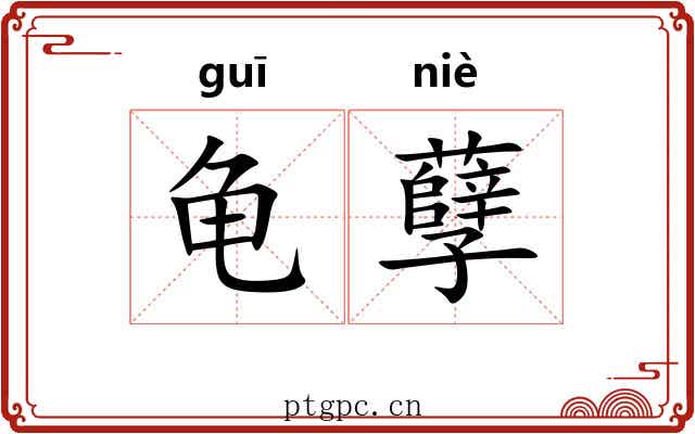 龟孽