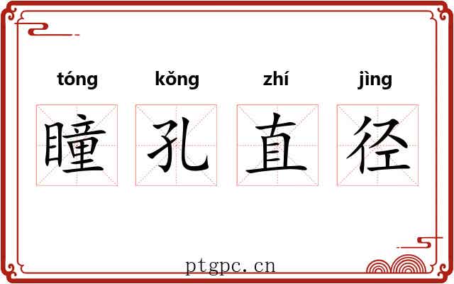 瞳孔直径 瞳孔直径