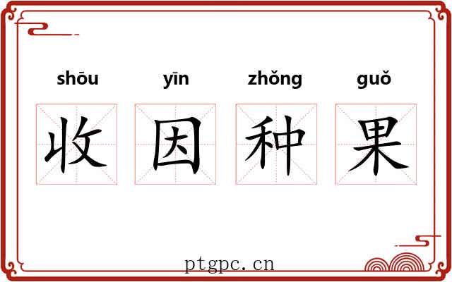 收因种果