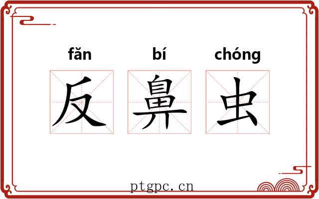 反鼻虫