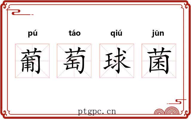 葡萄球菌