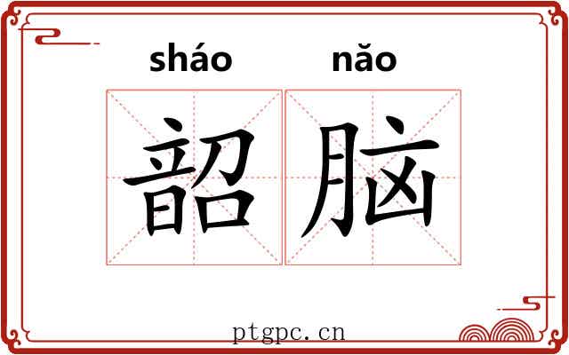 韶脑