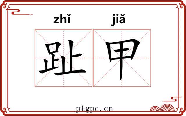 趾甲 趾甲