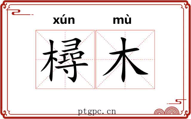樳木