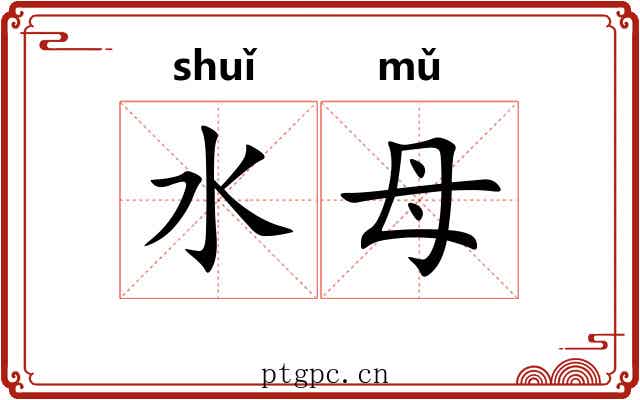 水母 水母