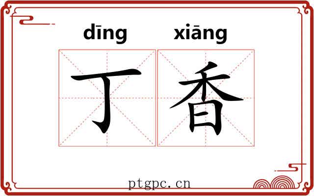 丁香