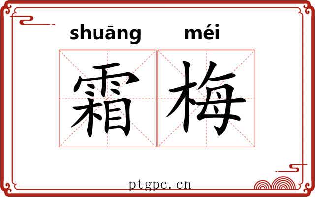 霜梅