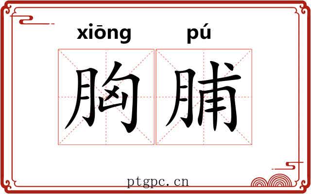 胸脯 胸脯