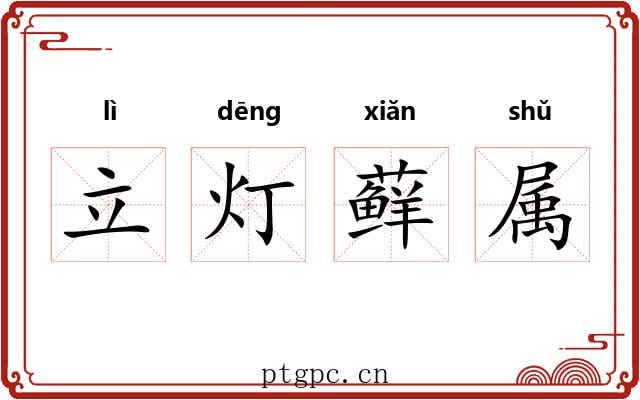 立灯藓属
